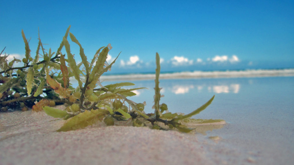When not to take work on vacation - ABC islands island hoping wanderlust - #womenwhotravel